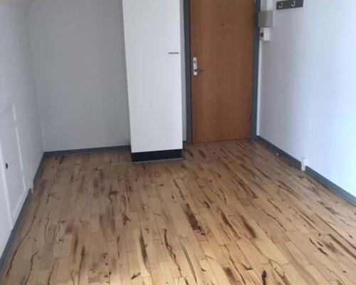 Rummelig 1-værelses lejlighed.