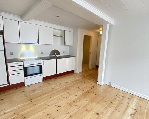 Attraktiv 2-værelses lejlighed i Dalgasgade