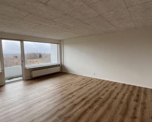 2 værelses lejlighed i Viborg