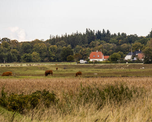Fantastisk beliggende villa ud til vandet | Jægerspris