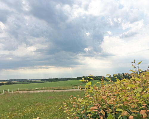 3 værelses hus i Tjele