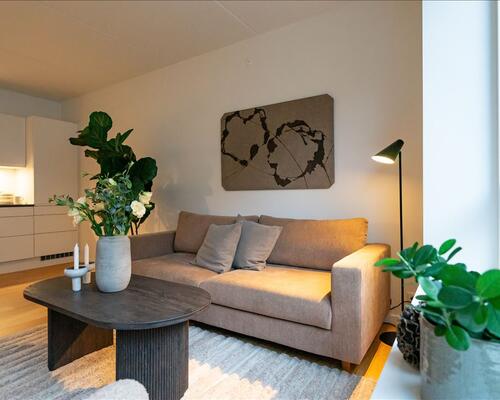 2 værelses lejlighed i København Ø