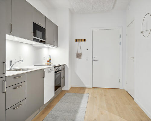 Nyopført 1-værelses lejlighed på Østre Havn i Aalborg