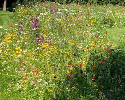 4 værelses lejlighed i Esbjerg Ø