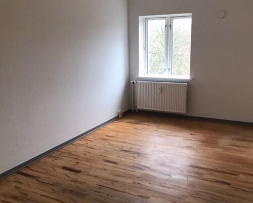 Rummelig 1-værelses lejlighed