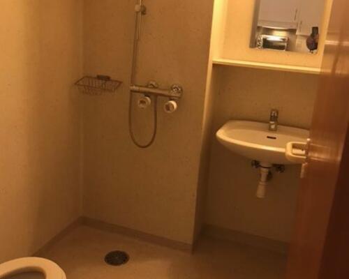 Rummelig 1-værelses lejlighed