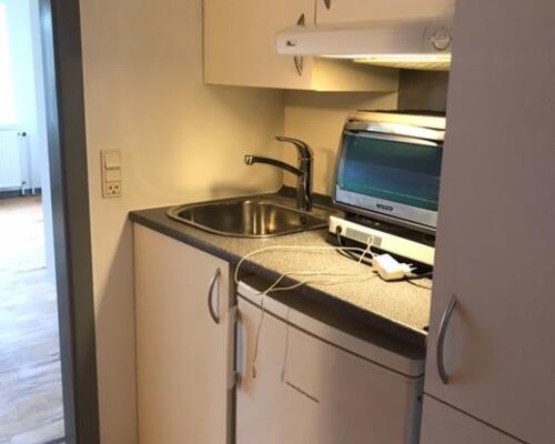 Rummelig 1-værelses lejlighed