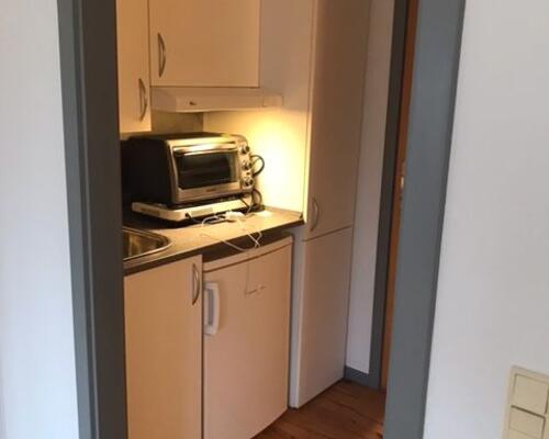 Rummelig 1-værelses lejlighed