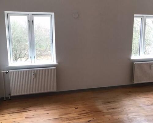 Rummelig 1-værelses lejlighed