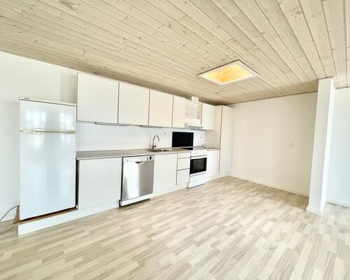 2 værelses hus i Tjele