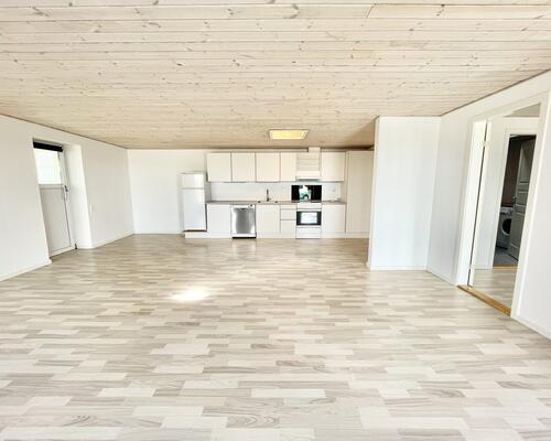 2 værelses hus i Tjele