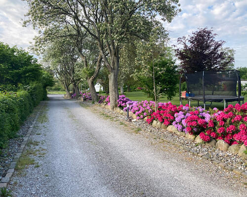 5 værelses hus i Farum