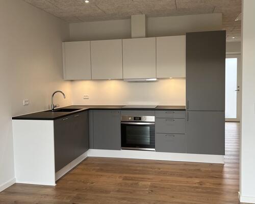 Nyopførte 3-værelses rækkehuse i Skælskør - med egen have og moderne faciliteter