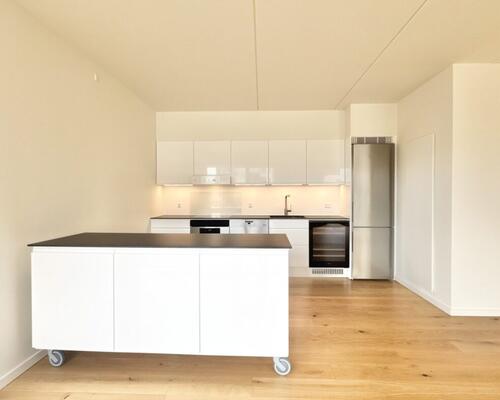 2 værelses – Munkebjergvænget 18, 3. tv – Odense M