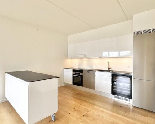 2 værelses – Munkebjergvænget 18, 3. tv – Odense M