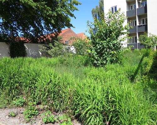 3 værelses lejlighed i Odense C