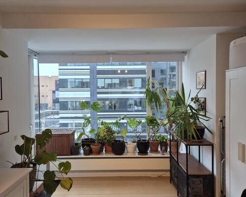 Lys lejlighed med havudsigt, fuldt møbleret, fremlejes i 2-3 måneder