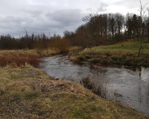 5 værelses hus i Herning