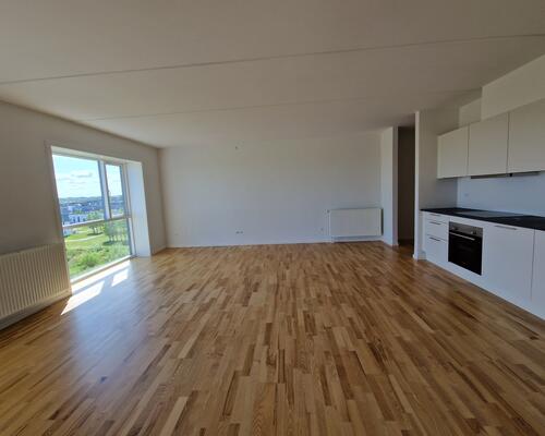 3 værelses lejlighed i Aalborg Øst