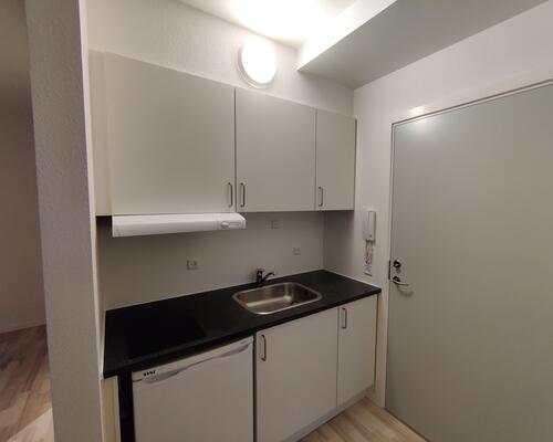 1 værelses lejlighed i Viborg