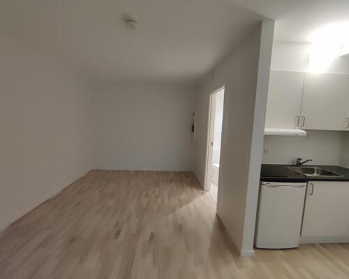 1 værelses lejlighed i Viborg