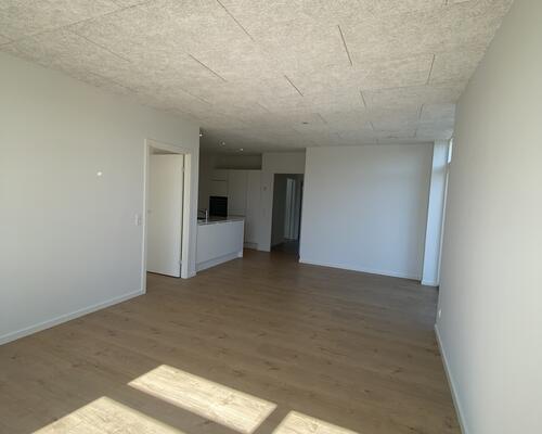 4 værelses hus i Viborg