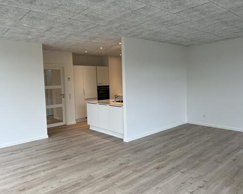 3 værelses hus i Viborg