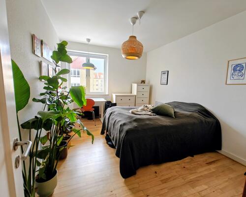 3 værelses lejlighed i Århus N