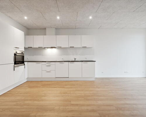 4 værelses hus i Borup