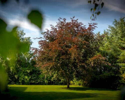 3 værelses lejlighed i Viborg