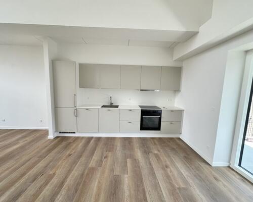 3 værelses lejlighed i Nørresundby