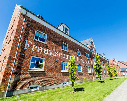 1 værelses lejlighed i Holstebro