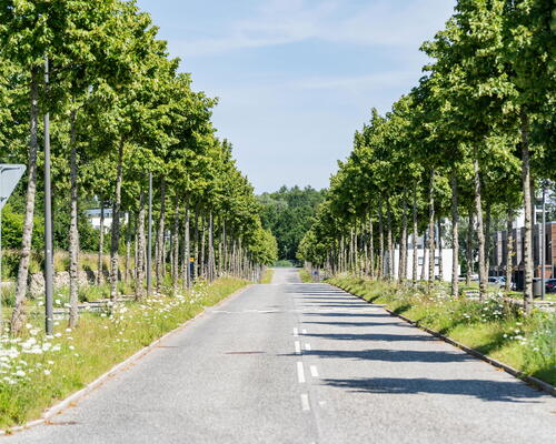 2 værelses lejlighed i Farum