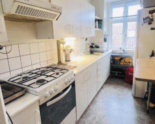 Lys og nyistandsat 2-værelses med fransk altan og tæt på Limfjorden