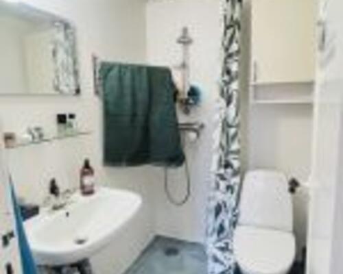 Lys og nyistandsat 2-værelses med fransk altan og tæt på Limfjorden