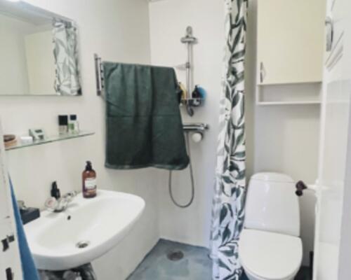 Lys og nyistandsat 2-værelses med fransk altan og tæt på Limfjorden