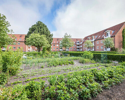 3 værelses lejlighed i Holstebro
