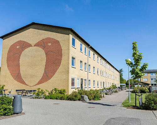 4 værelses hus i Holstebro