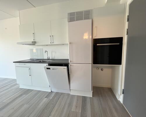 Lækker 1-værelses i centrum!