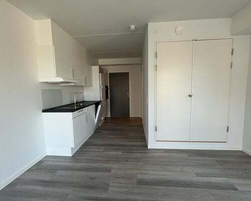 Lækker 1-værelses i centrum!