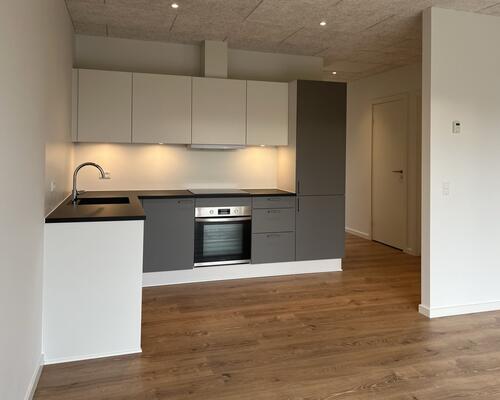 Nyopførte 3-værelses rækkehuse i Skælskør - med egen have og moderne faciliteter