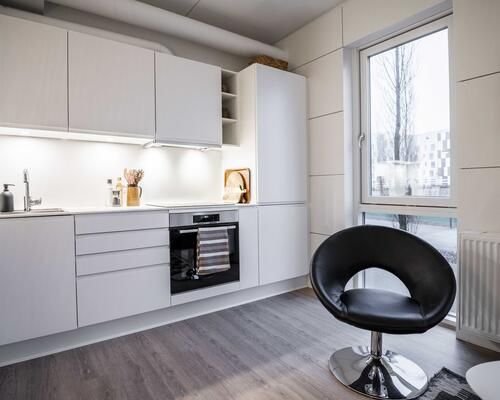 Studiebolig i Aalborg Centrum - med mulighed for husdyr