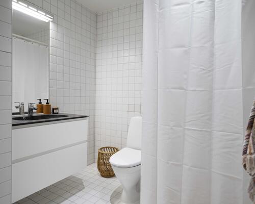 Studiebolig i Aalborg Centrum - med mulighed for husdyr