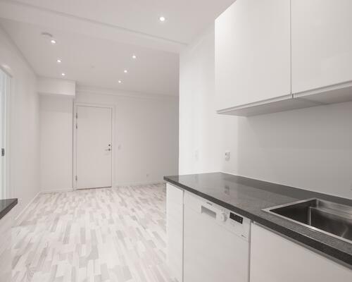 Lækker lys lejlighed i Aalborg centrum - husdyr tilladt.