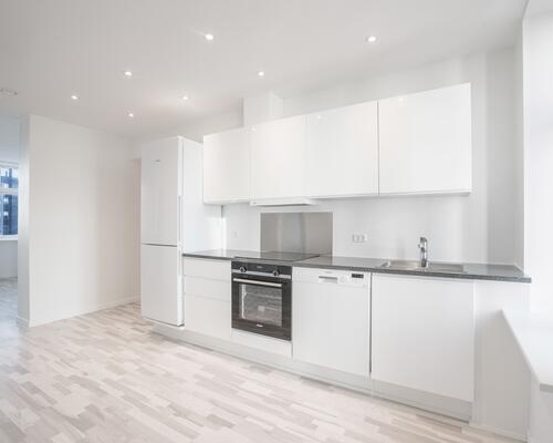 Nybygget lækker lejlighed centralt i Aalborg - husdyr tilladt