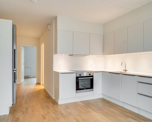 2 værelses lejlighed i København S