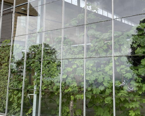 2 værelses lejlighed omgivet af skøn naturKUN 1 MÅNEDS DEPOSITUM