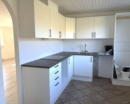 Ny renoveret 1-planshus i lukket vænge tæt på grønne områder – 87 Kvm