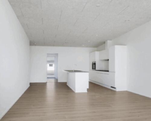 Nybygget rækkehus i 1 plan