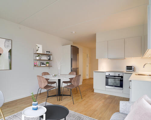 2 værelses lejlighed i København S